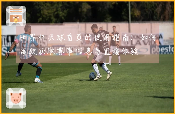 世界杯买球首页的使用指南：如何高效获取赛事信息与直播体验