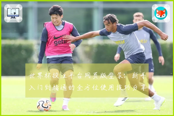世界杯投注平台网页版登录：新手入门到精通的全方位使用技巧分享