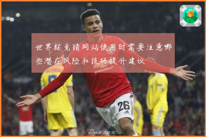 世界杯竞猜网站使用时需要注意哪些潜在风险和技巧提升建议