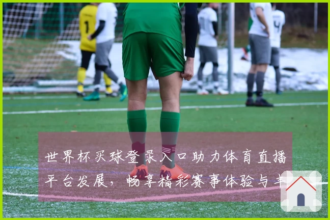 世界杯买球登录入口助力体育直播平台发展，畅享精彩赛事体验与丰富功能分析