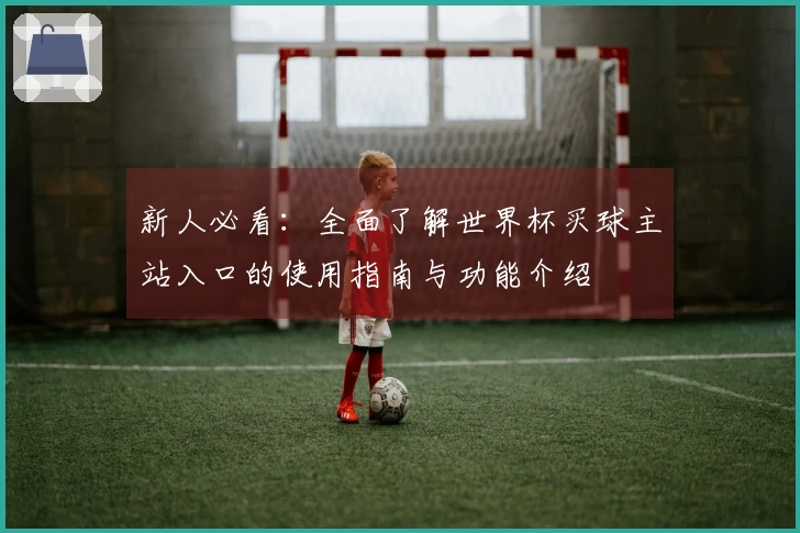 新人必看：全面了解世界杯买球主站入口的使用指南与功能介绍