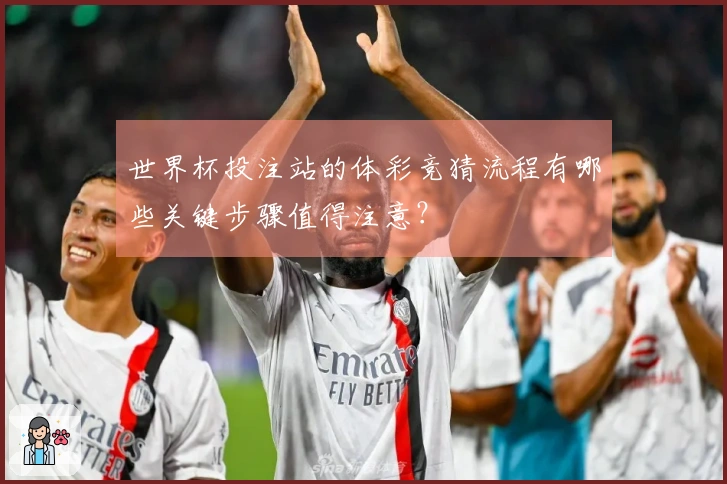 世界杯投注站的体彩竞猜流程有哪些关键步骤值得注意?