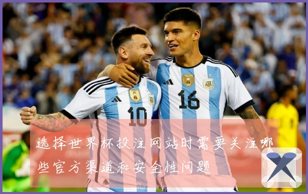 选择世界杯投注网站时需要关注哪些官方渠道和安全性问题