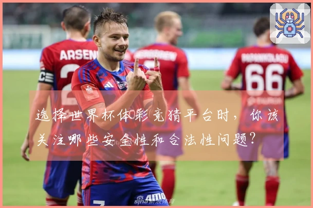 选择世界杯体彩竞猜平台时，你该关注哪些安全性和合法性问题？