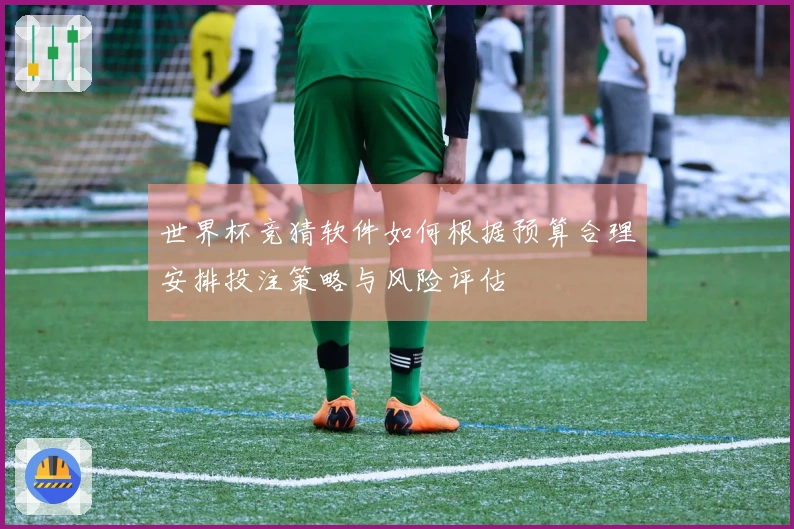 世界杯竞猜软件如何根据预算合理安排投注策略与风险评估