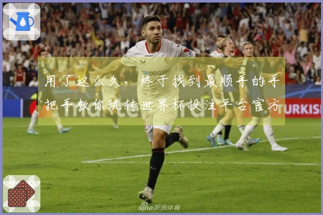 用了这么久，终于找到最顺手的手把手教你玩转世界杯投注平台官方网站首页