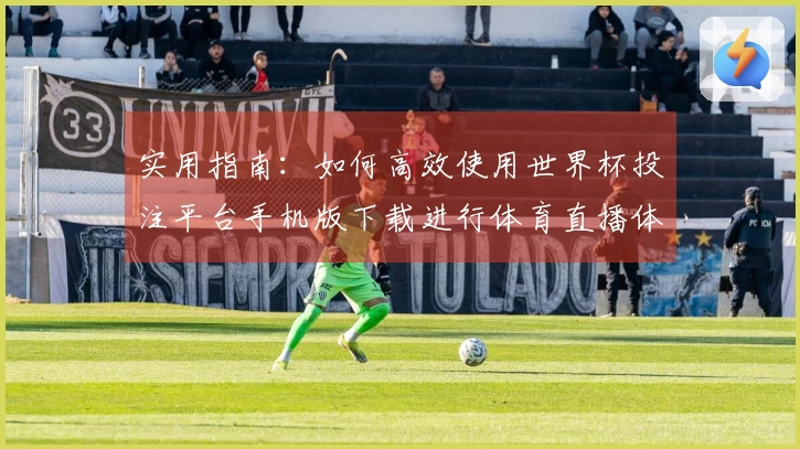 实用指南：如何高效使用世界杯投注平台手机版下载进行体育直播体验