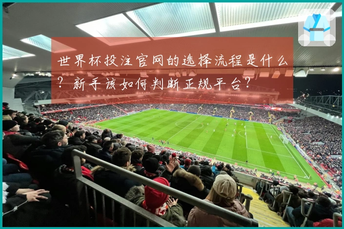 世界杯投注官网的选择流程是什么?新手该如何判断正规平台?