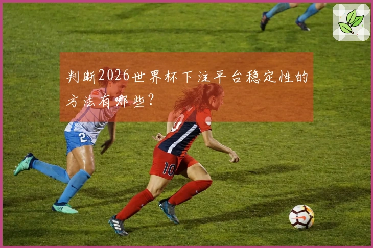 判断2026世界杯下注平台稳定性的方法有哪些?