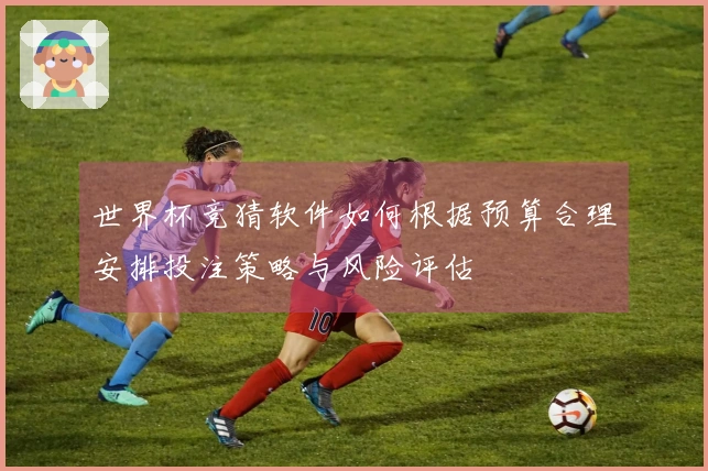 世界杯竞猜软件如何根据预算合理安排投注策略与风险评估