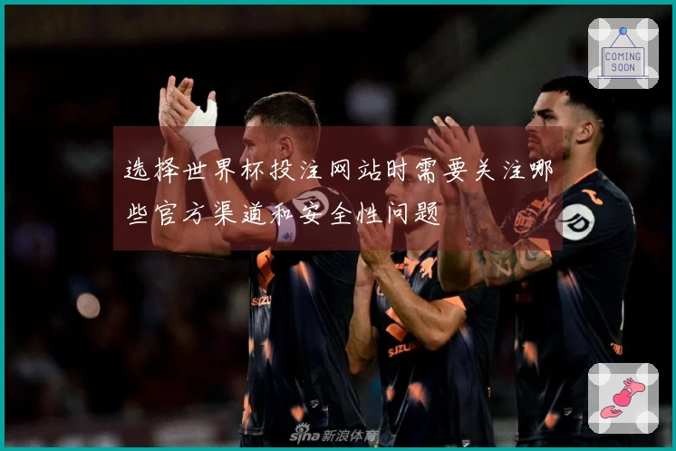 选择世界杯投注网站时需要关注哪些官方渠道和安全性问题