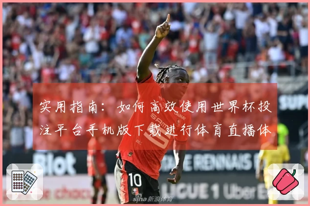实用指南：如何高效使用世界杯投注平台手机版下载进行体育直播体验